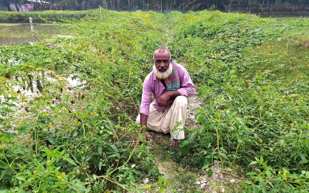 কৃষি ও কৃষক