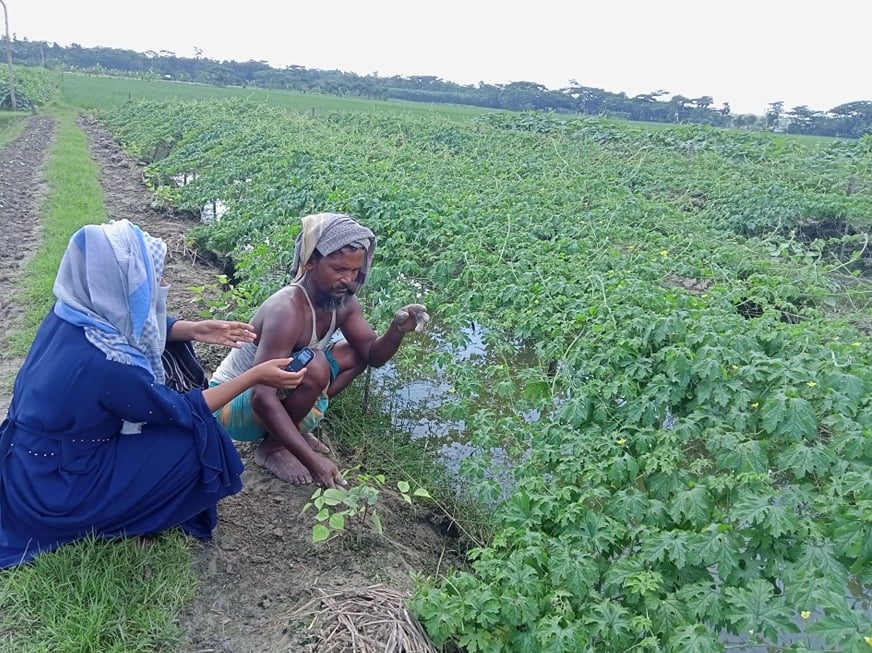 কৃষি ও কৃষক