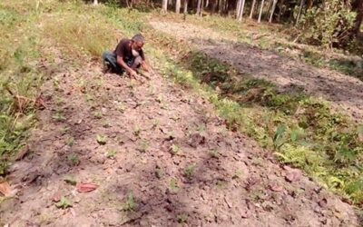 কৃষি ও কৃষক