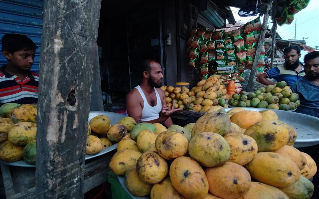 মধু মাসে রসালো ফলে ছেয়ে গেছে চরফ্যাসন উপজেলা