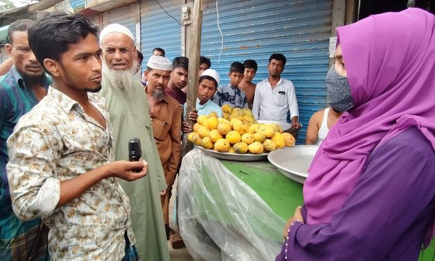 মধু মাসে রসালো ফলে ছেয়ে গেছে চরফ্যাসন উপজেলা