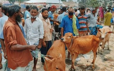 ঈদ উপলক্ষে শিথিল করা হয়েছে লকডাউন, আজ থেকে স্বাস্থ্যবিধি মেনে বসবে কোরবানীর পশুরহাট, খোলা থাকবে দোকানপাট, চলবে গনপরিবহণও
