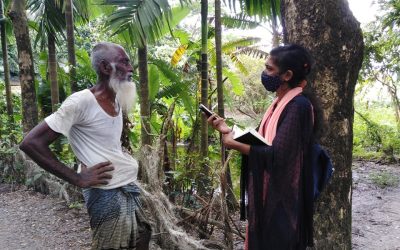 কৃষিতে পড়েছে জলবায়ু পরিবর্তনের নেতিবাচক প্রভাব, লবণাক্ততা কৃষি কাজে পিছিয়ে পড়েছে চরফ্যাসনের কৃষকরা
