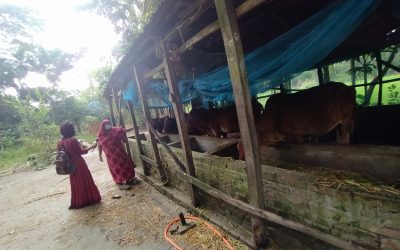 নারীদের এমন সংগ্রামী জীবন এবং উদ্যোগী হওয়ার গল্প নিয়ে রেডিও মেঘনার নিয়মিত অনুষ্ঠান