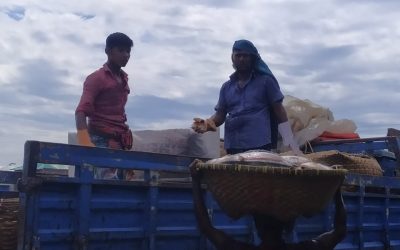 মেঘনায় ধরা পড়ছে ঝাঁকে ঝাঁকে রুপালী ইলিশ, ২২ দিনের অবরোধকে সামনে রেখে প্রস্তুতি নিচ্ছেন মৎস্যজীবীরা