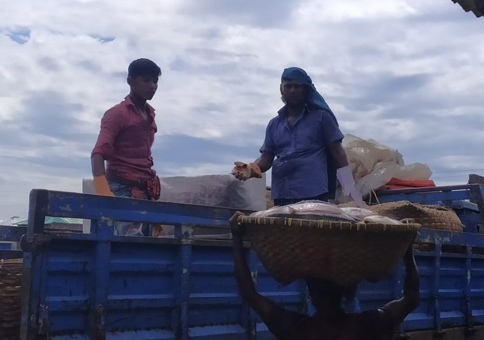 মেঘনায় ধরা পড়ছে ঝাঁকে ঝাঁকে রুপালী ইলিশ, ২২ দিনের অবরোধকে সামনে রেখে প্রস্তুতি নিচ্ছেন মৎস্যজীবীরা