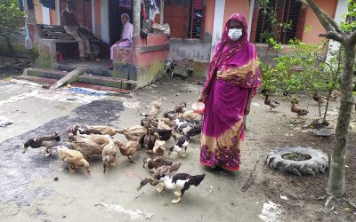 হাঁস পালন করে করে স্বাবলম্বী হওয়ার গল্প