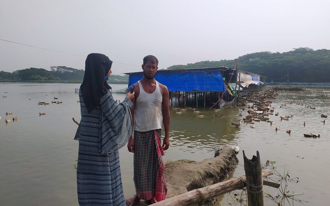 চরফ্যাসনে শখের বসে হাঁসের খামার দিয়ে লাভবান মোঃ ইলিয়াস শরীফ