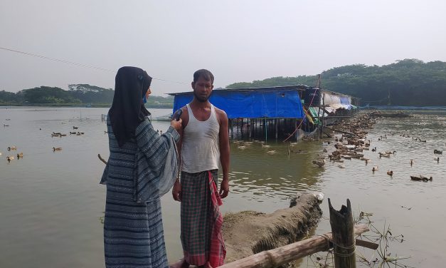 চরফ্যাসনে শখের বসে হাঁসের খামার দিয়ে লাভবান মোঃ ইলিয়াস শরীফ
