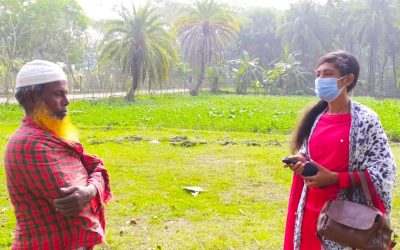 আবহাওয়া অনুকূলে থাকায় আলু চাষে লাভের আশায় চরফ্যাসনের কৃষকরা