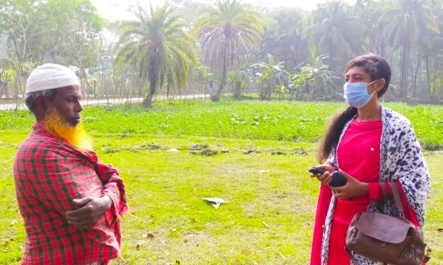 আবহাওয়া অনুকূলে থাকায় আলু চাষে লাভের আশায় চরফ্যাসনের কৃষকরা