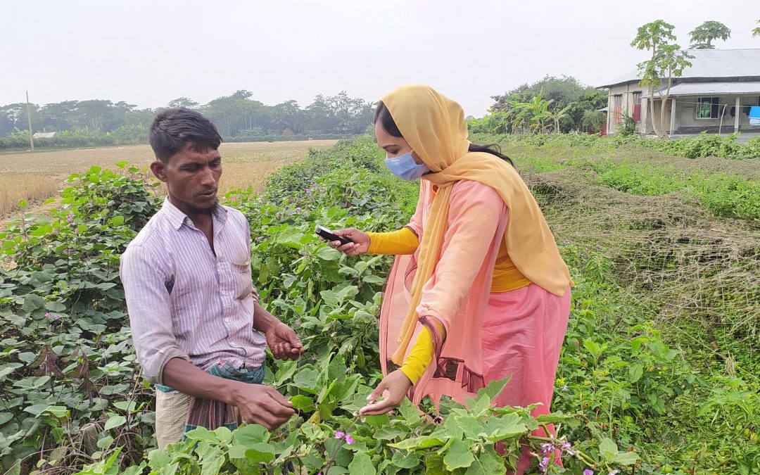 শিম চাষে সফলতার গল্প