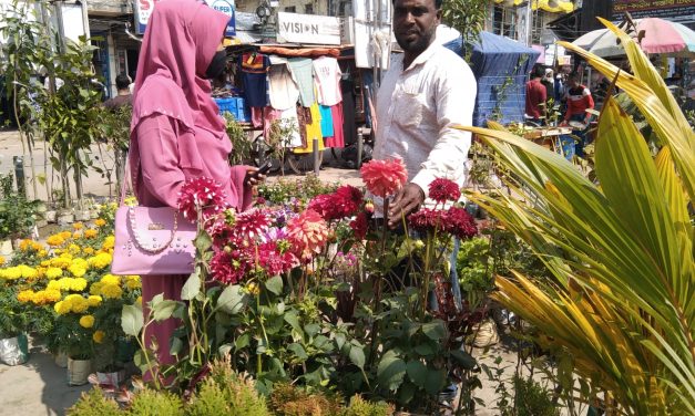 বসন্ত বরণ উপলক্ষ্যে চরফ্যাসনে জমজমাট হয়ে উঠেছে ফুলের ব্যবসা