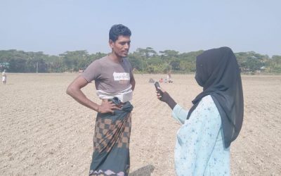 রবি মৌসুমের বাদাম চাষে লাভের স্বপ্ন দেখছেন চরফ্যাসনের কৃষক