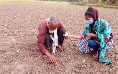 কৃষি ও কৃষক অনুষ্ঠানে এবারের পর্বে উঠে এসেছে বশির মিয়ার ডাল চাষ