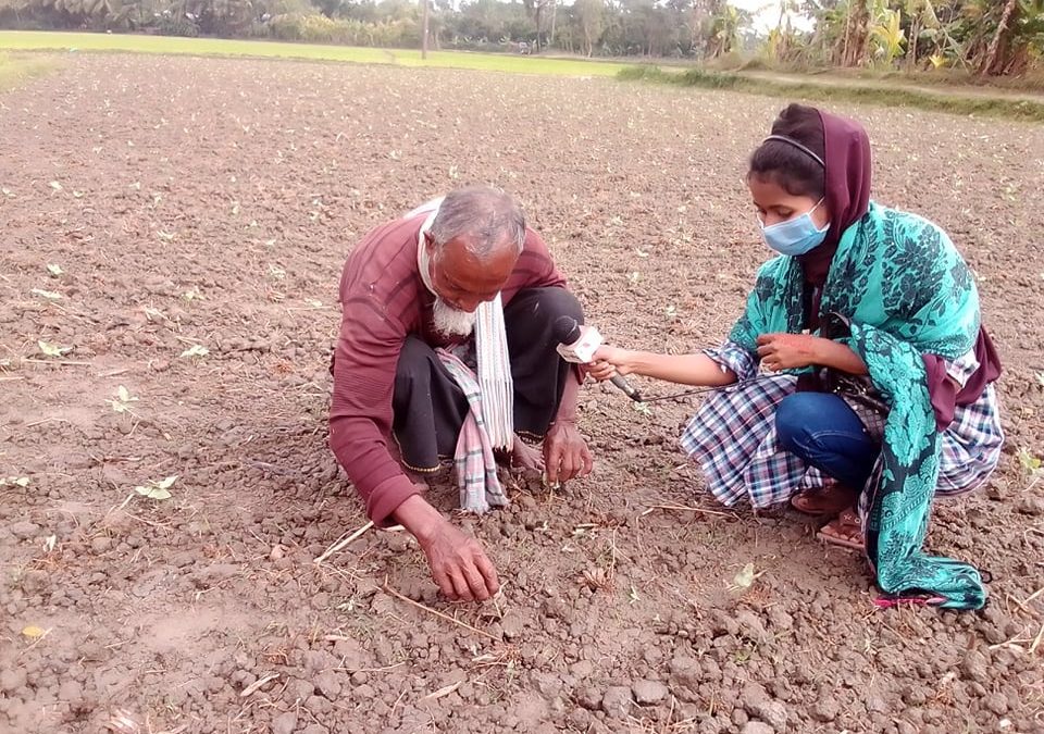 কৃষি ও কৃষক অনুষ্ঠানে এবারের পর্বে উঠে এসেছে বশির মিয়ার ডাল চাষ