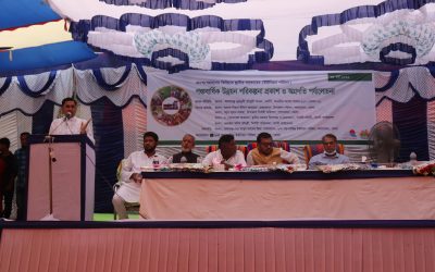 লালমোহনে পঞ্চবার্ষিক উন্নয়ন পরিবল্পনা প্রকাশ ও অগ্রগতি পর্যালোচনা সভা অনুষ্ঠিত