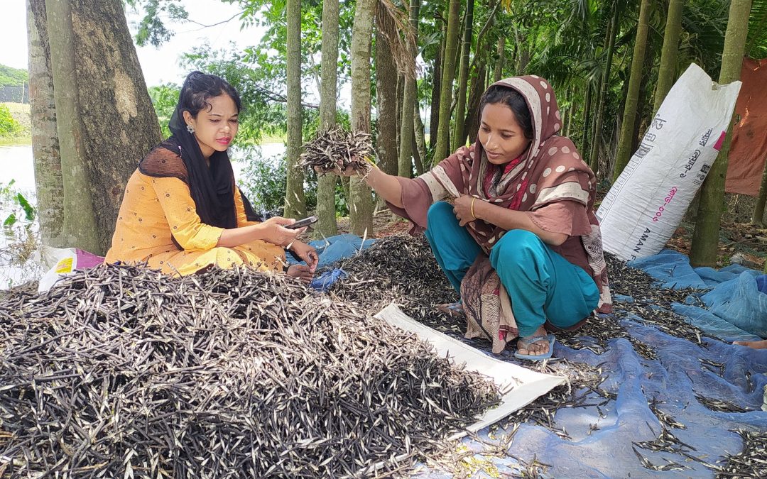 কৃষি বিষয়ক অনুষ্ঠান