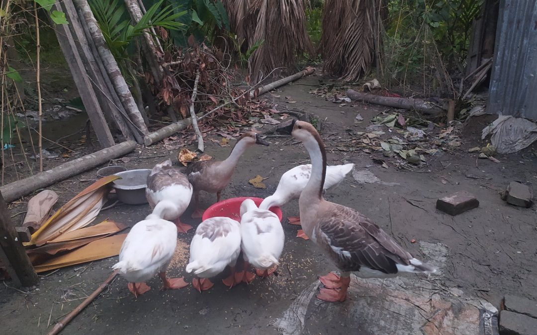 নারীদের এগিয়ে চলার গল্প নিয়ে অনুষ্ঠান