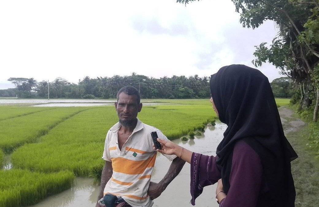 আবহাওয়া পরিবর্তনে পিছিয়েছে আমন ধানের চাষ, ক্ষতির শঙ্কায় চরফ্যাসনের কৃষকরা