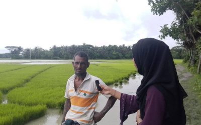 আবহাওয়া পরিবর্তনে পিছিয়েছে আমন ধানের চাষ, ক্ষতির শঙ্কায় চরফ্যাসনের কৃষকরা