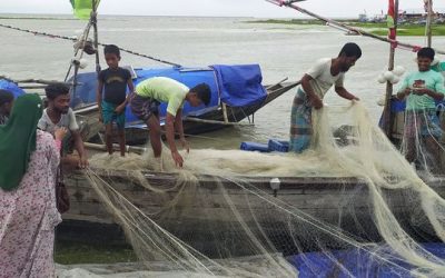 বৈরী আবহাওয়া চরফ্যাসনে নিরাপদ আশ্রয় ফিরছে শত শত ট্রলার