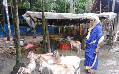 শখের বসে গৃহপালিত পশু পালন করে স্বাবলম্বী উপকূলের নারীরা