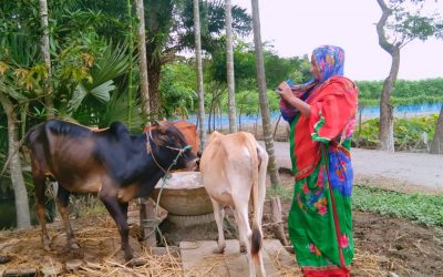 নারীদের জীবনসংগ্রাম ও সফলতার গল্প নিয়ে অনুষ্ঠান