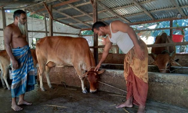 গরু পালন করে স্বাবলম্বী মাদ্রাজের আব্দুল কাদের