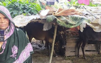 বেশিরভাগ গ্রামীন নারীদের আয়ের উৎস্য গৃহপালিত পশুপাখি