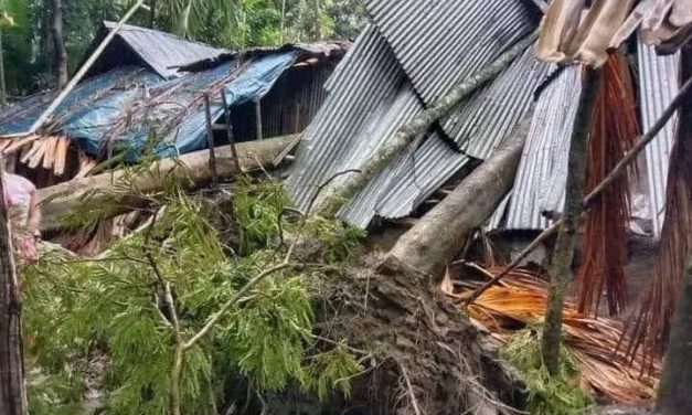 ভোলায় ঘূর্ণিঝড়ে আরও দুজনের মৃত্যু