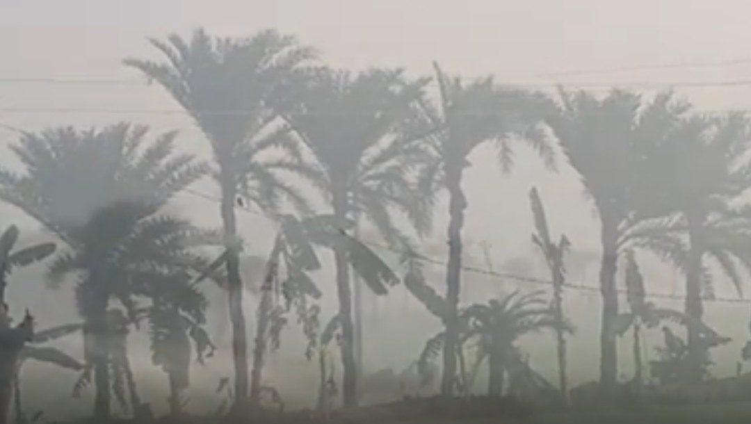 সকালের কুয়াশা আর হালকা শীত উপভোগ করছেন চরফ্যাসনবাসী