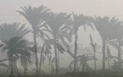সকালের কুয়াশা আর হালকা শীত উপভোগ করছেন চরফ্যাসনবাসী