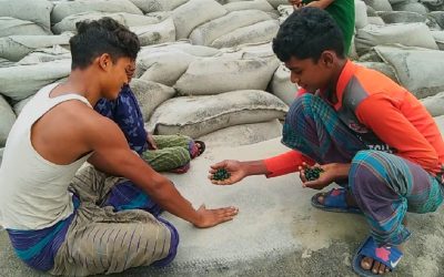 বিলুপ্ত প্রায় গ্রামীণ শিশু কিশোরদের মার্বেল খেলা