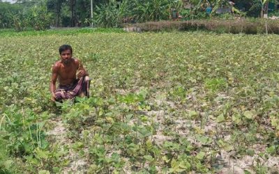 রেডিও মেঘনার সাপ্তাহিক কৃষি বিষয়ক অনুষ্ঠান ‘কৃষি ও কৃষক’