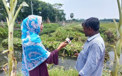 চরফ্যাসনে ভাসমান বেডে সবজি চাষ; অপার সম্ভাবনা দেখছে কৃষক