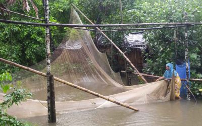 ভেসাল খেয়া(ব্যাগ)জাল দিয়ে মাছ ধরে ছেলেমেয়ে’র পড়াশোনার খরচ বহন করছেন নাজমা বেগম