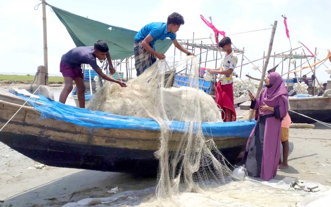 মেঘনায় ধরা পড়ছে বড় সাইজের ইলিশ,লাভবানের আশায় চরফ্যাসনের মৎস্যজীবীরা