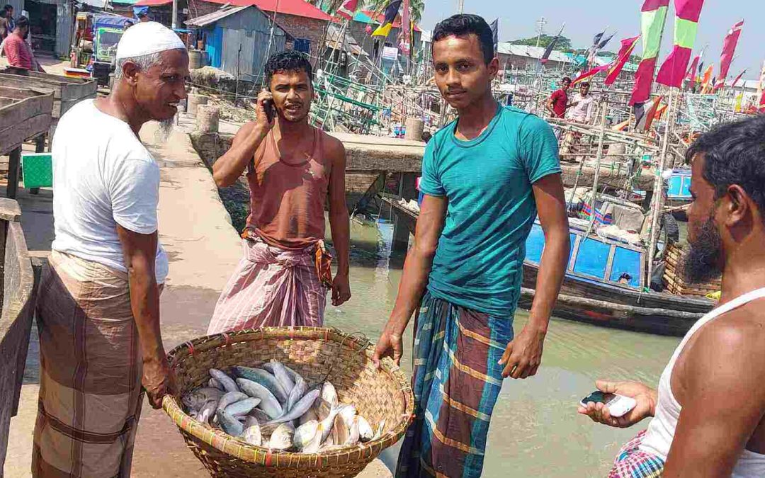 ইলিশের প্রজনন রক্ষায় ২২ দিনের নিষেধাজ্ঞা শেষ