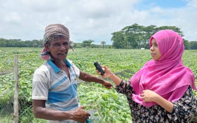 স্বস্তির বৃষ্টিতে সবজি চাষে ভালো ফলনের সম্ভাবনায় কৃষকের মুখে হাসি