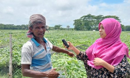 স্বস্তির বৃষ্টিতে সবজি চাষে ভালো ফলনের সম্ভাবনায় কৃষকের মুখে হাসি