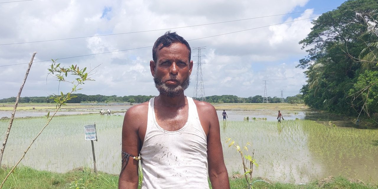 অতিবৃষ্টিতে বীজতলা নষ্ট হওয়ায় চারা সংকটে আমন আবাদ ব্যাহত