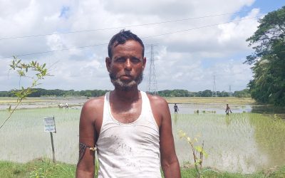 অতিবৃষ্টিতে বীজতলা নষ্ট হওয়ায় চারা সংকটে আমন আবাদ ব্যাহত