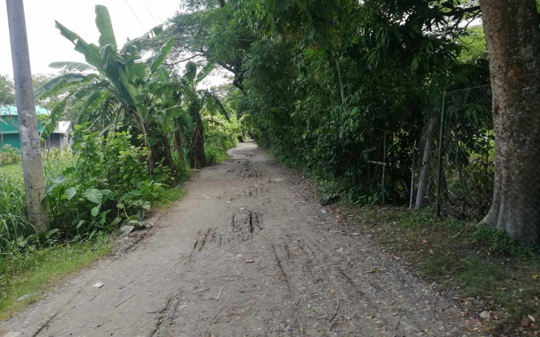 চরফ্যাসনের হাজারীগঞ্জে বাল্যবিয়ে থেকে রক্ষা পেল সপ্তম শ্রেণির ছাত্রী