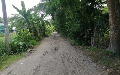 চরফ্যাসনের হাজারীগঞ্জে বাল্যবিয়ে থেকে রক্ষা পেল সপ্তম শ্রেণির ছাত্রী