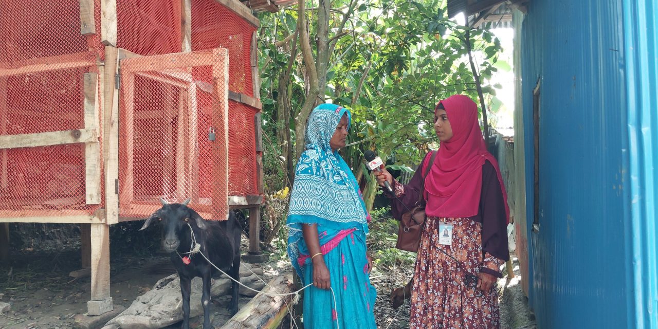 উপকূলীয় অঞ্চলে মাচা পদ্ধতিতে ছাগল পালনে ঝুঁকছে সাধারণ মানুষ