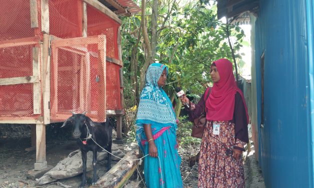 উপকূলীয় অঞ্চলে মাচা পদ্ধতিতে ছাগল পালনে ঝুঁকছে সাধারণ মানুষ