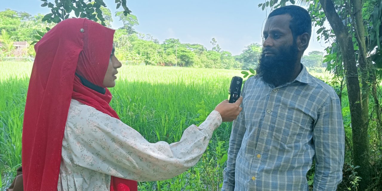 কৃষকদের মাঝে বাড়ছে কমিউনিটি বীজ সংরক্ষণ