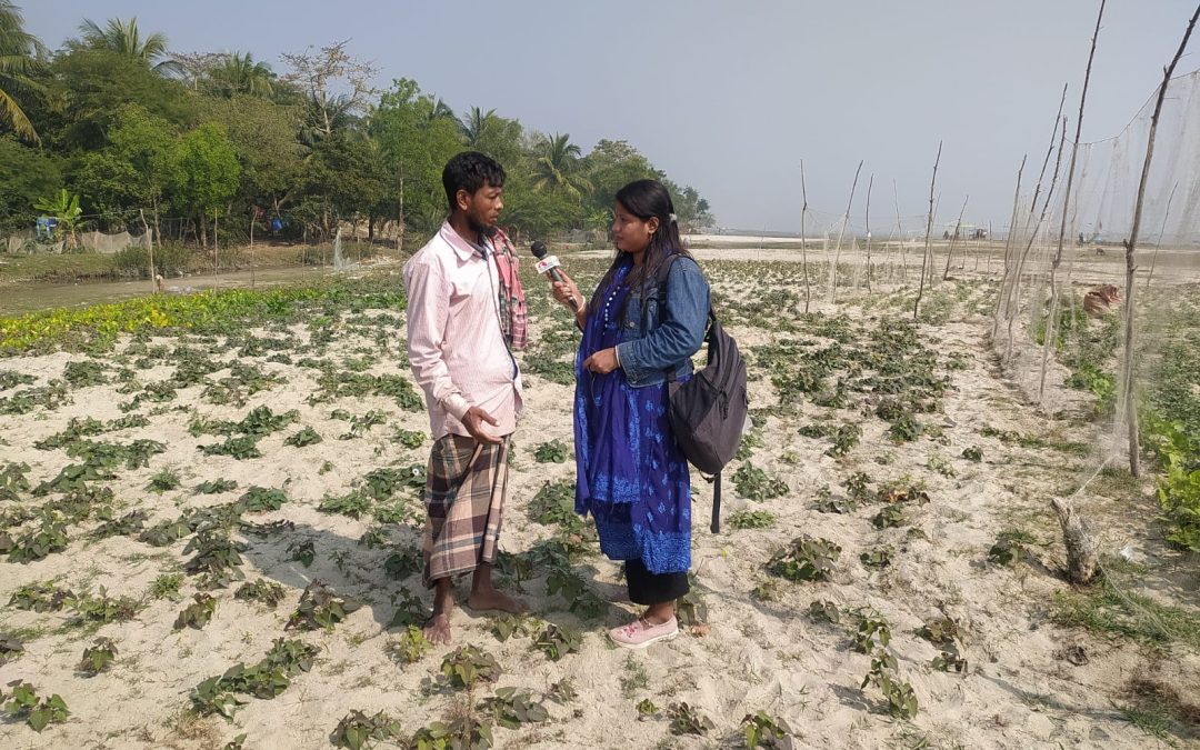 চরফ্যাসনে খেঁজুর গাছিয়ায় মিষ্টি আলু চাষে আশার আলো দেখছেন নুর সোলাইমান