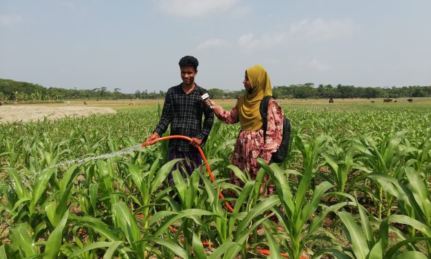 আধুনিক পদ্ধতিতে ভুট্টা চাষে ফিরিয়ে এনেছে কৃষকের হাসি